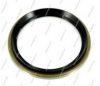 NPS K470A02C Wheel Bearing Kit